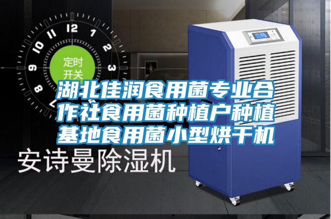 湖北佳潤食用菌專業(yè)合作社食用菌種植戶種植基地食用菌小型烘干機