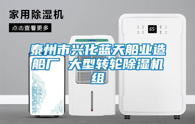 泰州市興化藍(lán)天船業(yè)造船廠 大型轉(zhuǎn)輪除濕機組