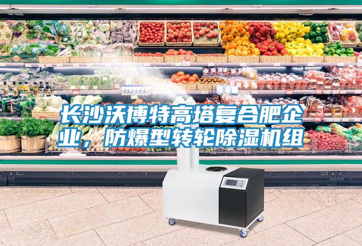 長(zhǎng)沙沃博特高塔復(fù)合肥企業(yè)，防爆型轉(zhuǎn)輪除濕機(jī)組