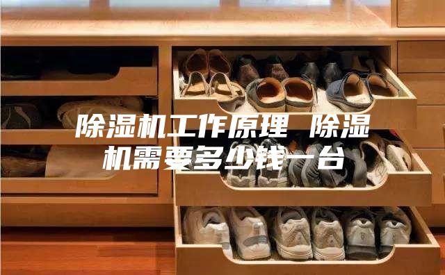 除濕機(jī)工作原理 除濕機(jī)需要多少錢(qián)一臺(tái)