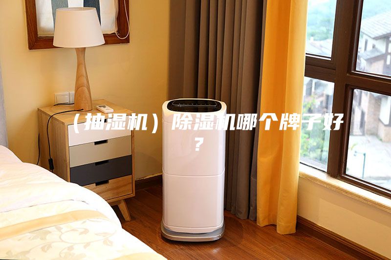 （抽濕機(jī)）除濕機(jī)哪個牌子好？