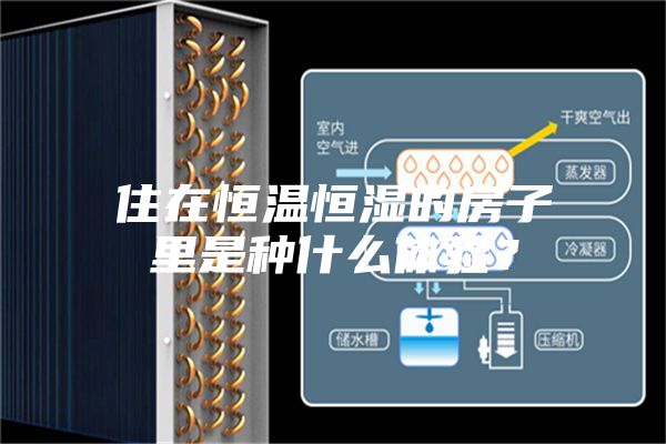 住在恒溫恒濕的房子里是種什么體驗(yàn)？