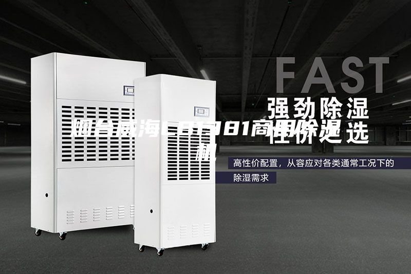 煙臺威海LB1381商用除濕機(jī)