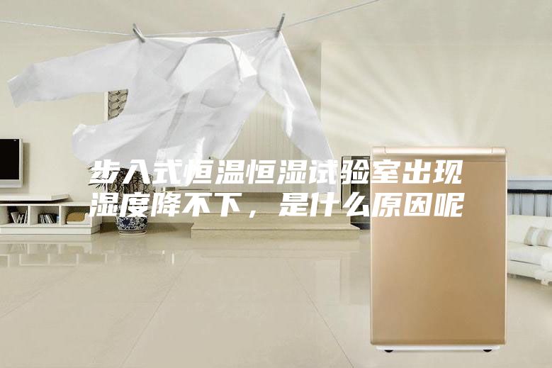 步入式恒溫恒濕試驗室出現(xiàn)濕度降不下，是什么原因呢