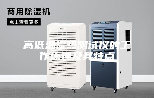 高低溫濕熱測試儀的工作原理及其特點(diǎn)
