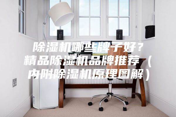 除濕機哪些牌子好？精品除濕機品牌推薦（內附除濕機原理圖解）