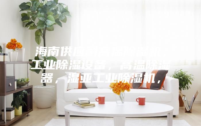 海南供應(yīng)耐高溫除濕機(jī)，工業(yè)除濕設(shè)備，高溫除濕器，濕亞工業(yè)除濕機(jī)，