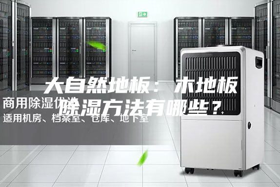 大自然地板：木地板除濕方法有哪些？