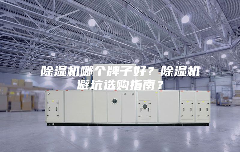 除濕機(jī)哪個牌子好？除濕機(jī)避坑選購指南？