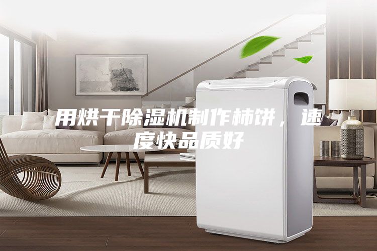 用烘干除濕機(jī)制作柿餅，速度快品質(zhì)好