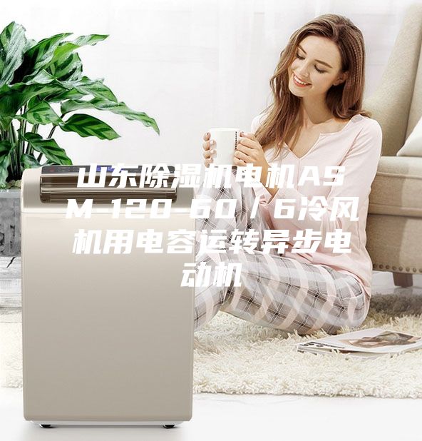 山東除濕機電機ASM-120-60／6冷風(fēng)機用電容運轉(zhuǎn)異步電動機