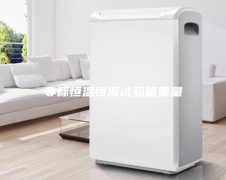 非標(biāo)恒溫恒濕試驗箱重量