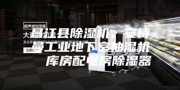 昌江縣除濕機，安詩曼工業(yè)地下室抽濕機  庫房配電房除濕器