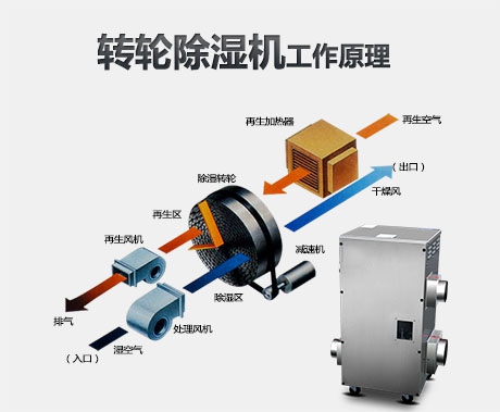 潮濕危害真不小，用除濕機(jī)真見效