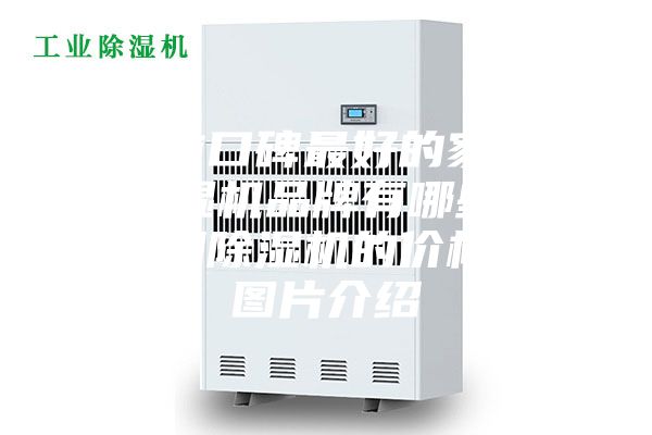 目前口碑最好的家用除濕機(jī)品牌有哪些？家用除濕機(jī)的價(jià)格和圖片介紹