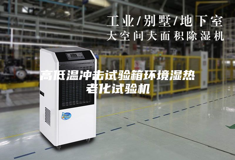 高低溫沖擊試驗箱環(huán)境濕熱老化試驗機
