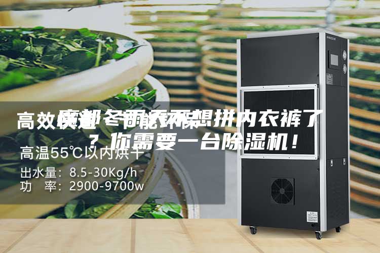 魔都冬雨天不想拼內(nèi)衣褲了？你需要一臺(tái)除濕機(jī)！