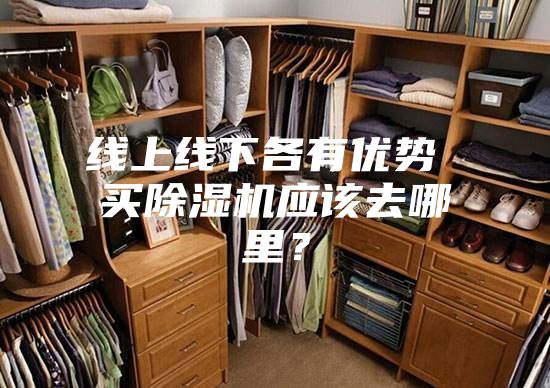 線上線下各有優(yōu)勢(shì) 買(mǎi)除濕機(jī)應(yīng)該去哪里？