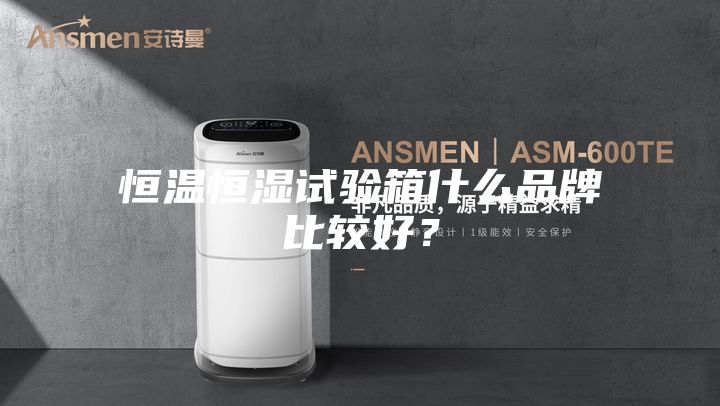 恒溫恒濕試驗箱什么品牌比較好？
