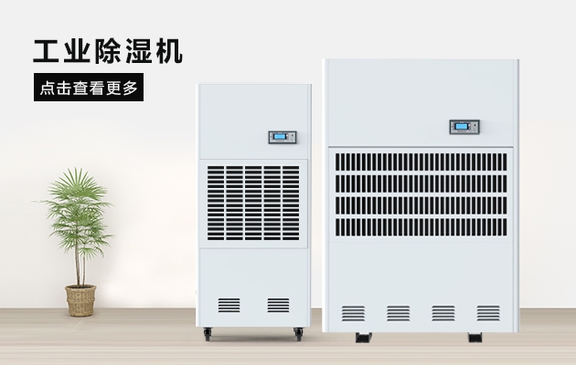 這間熱帶雨林辦公室，不潮濕不下雨還讓員工忘記了在工作