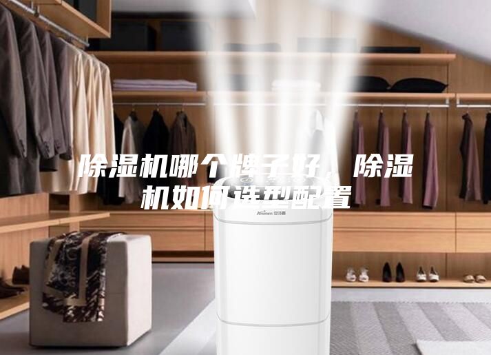除濕機(jī)哪個牌子好，除濕機(jī)如何選型配置