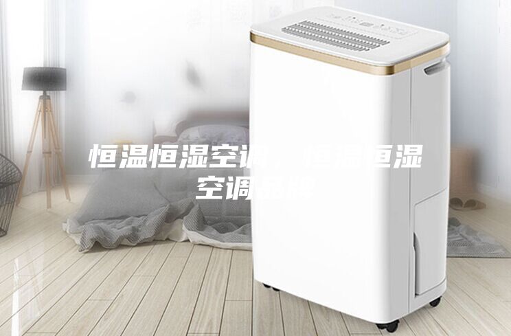 恒溫恒濕空調(diào)，恒溫恒濕空調(diào)品牌