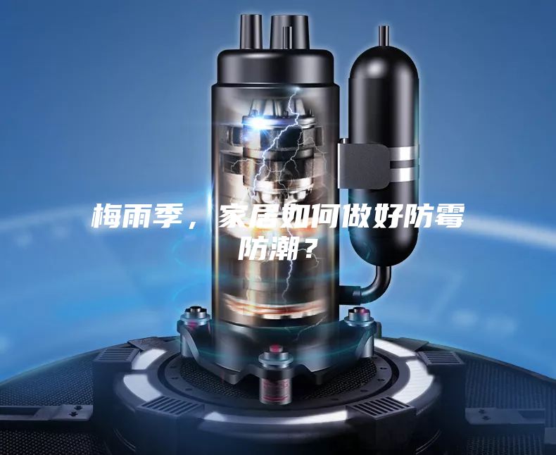 梅雨季，家居如何做好防霉防潮？