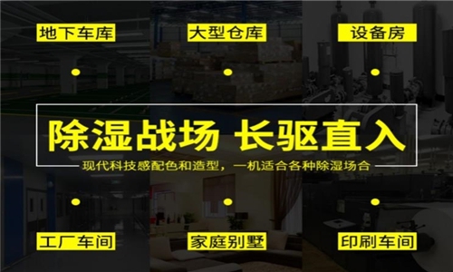 秋冬防濕冷，家里怎么除濕最好？