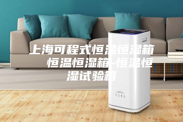 上?？沙淌胶銣睾銤裣? 恒溫恒濕箱-恒溫恒濕試驗箱