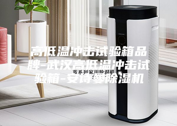 高低溫沖擊試驗箱品牌-武漢高低溫沖擊試驗箱-安詩曼除濕機(jī)