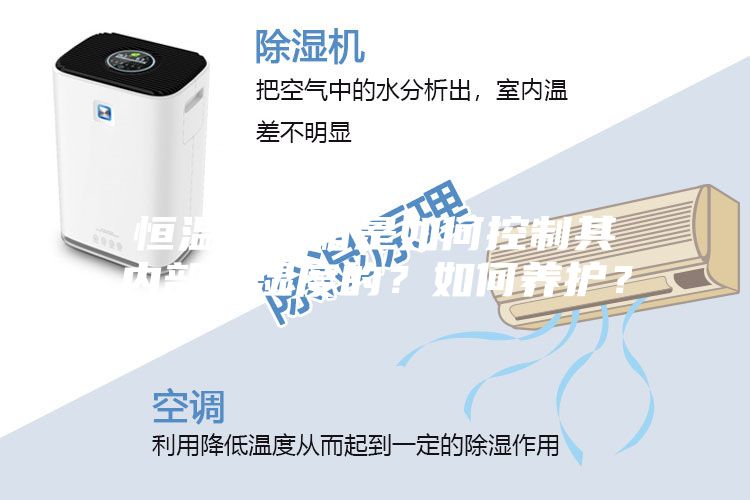 恒溫恒濕箱是如何控制其內(nèi)部溫濕度的？如何養(yǎng)護？