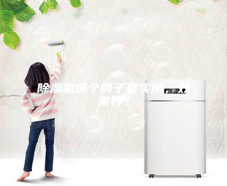 除濕機(jī)哪個(gè)牌子最實(shí)用，效果好？
