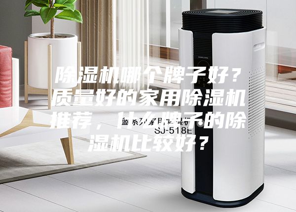 除濕機哪個牌子好？質量好的家用除濕機推薦，什么牌子的除濕機比較好？