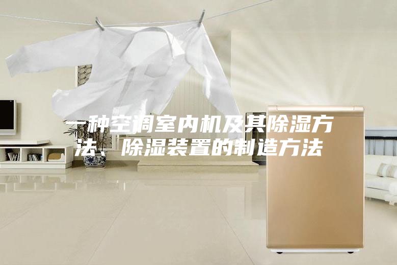一種空調(diào)室內(nèi)機(jī)及其除濕方法、除濕裝置的制造方法