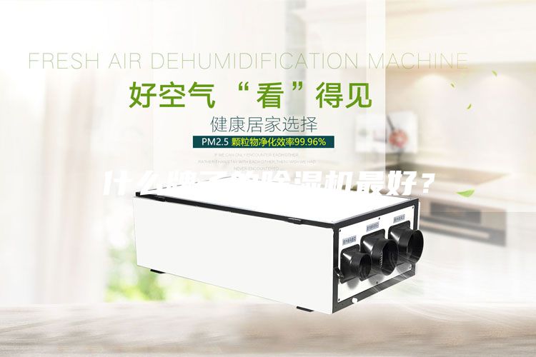 什么牌子的除濕機(jī)最好？