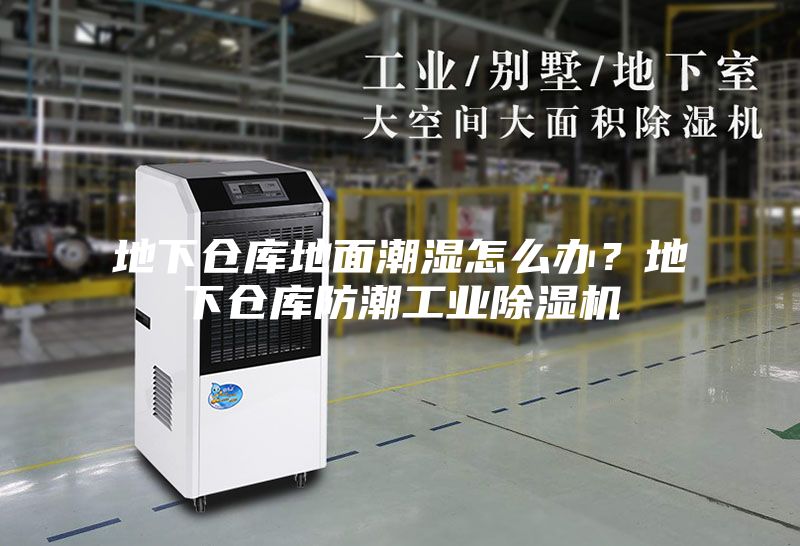 地下倉庫地面潮濕怎么辦？地下倉庫防潮工業(yè)除濕機