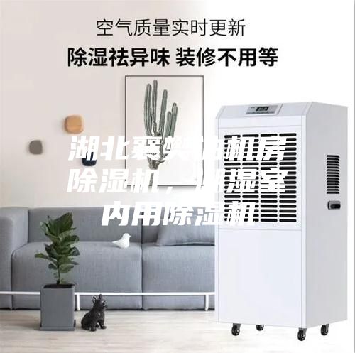 湖北襄樊油機(jī)房除濕機(jī)，潮濕室內(nèi)用除濕機(jī)