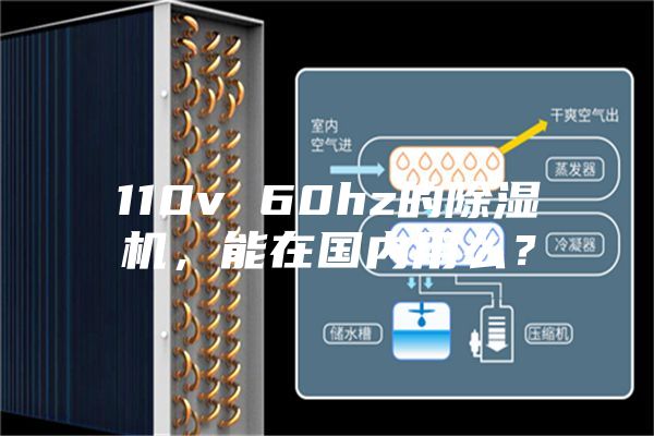 110v 60hz的除濕機(jī)，能在國(guó)內(nèi)用么？