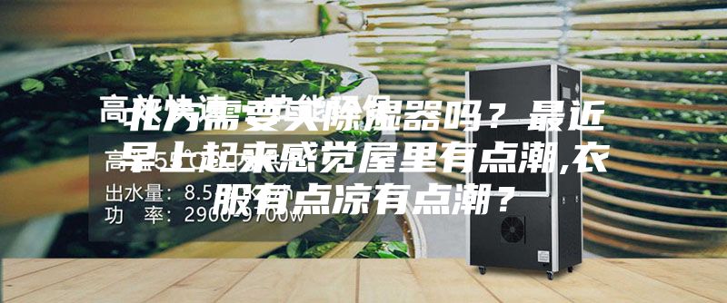 北方需要買除濕器嗎？最近早上起來感覺屋里有點潮,衣服有點涼有點潮？