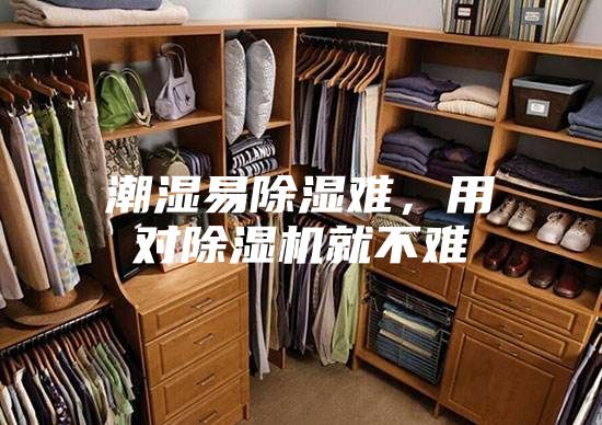 潮濕易除濕難，用對除濕機就不難