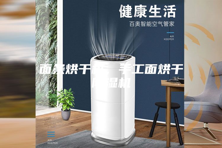 面條烘干機，手工面烘干除濕機