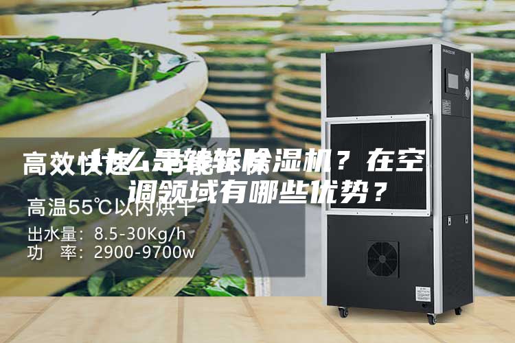 什么是轉(zhuǎn)輪除濕機(jī)？在空調(diào)領(lǐng)域有哪些優(yōu)勢(shì)？