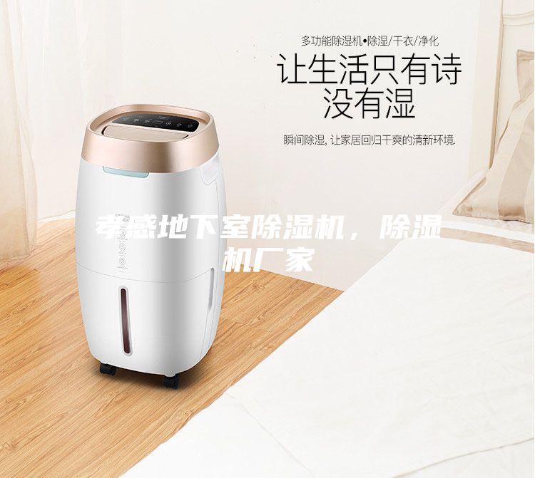 孝感地下室除濕機，除濕機廠家