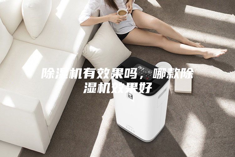 除濕機(jī)有效果嗎，哪款除濕機(jī)效果好