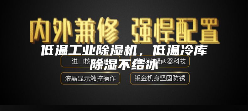 低溫工業(yè)除濕機(jī)，低溫冷庫除濕不結(jié)冰