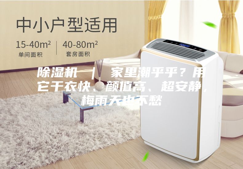 除濕機 ｜ 家里潮乎乎？用它干衣快、顏值高、超安靜，梅雨天也不愁