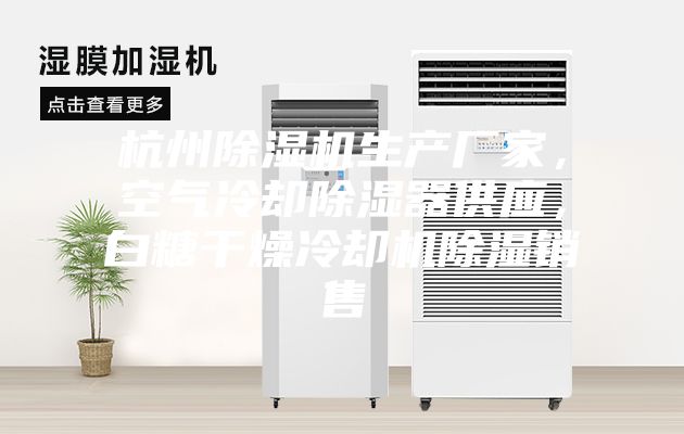 杭州除濕機生產(chǎn)廠家，空氣冷卻除濕器供應(yīng)，白糖干燥冷卻機除濕銷售