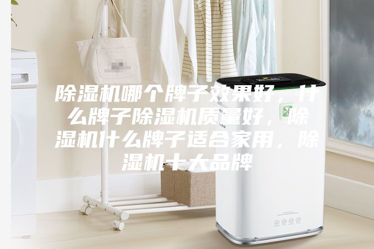 除濕機(jī)哪個(gè)牌子效果好，什么牌子除濕機(jī)質(zhì)量好，除濕機(jī)什么牌子適合家用，除濕機(jī)十大品牌