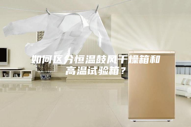 如何區(qū)分恒溫鼓風干燥箱和高溫試驗箱？