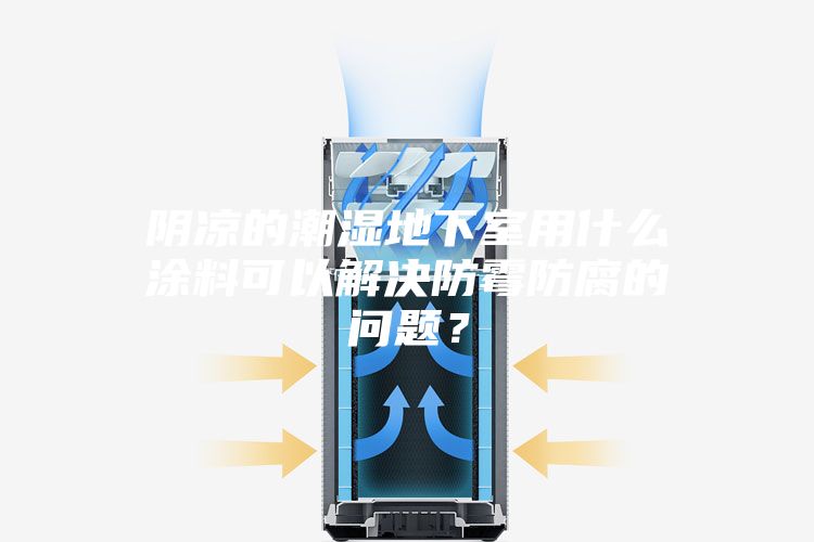 陰涼的潮濕地下室用什么涂料可以解決防霉防腐的問題？
